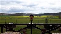 Grevenstein