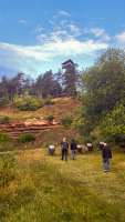 Umgebung