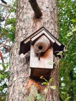 Vogelhuisje